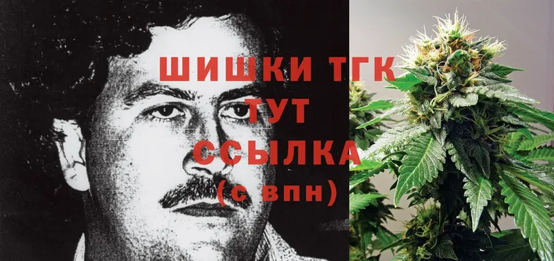 Бошки марихуана Ganja  Тырныауз 